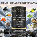 Pure Himalayan Shilajit Gummies